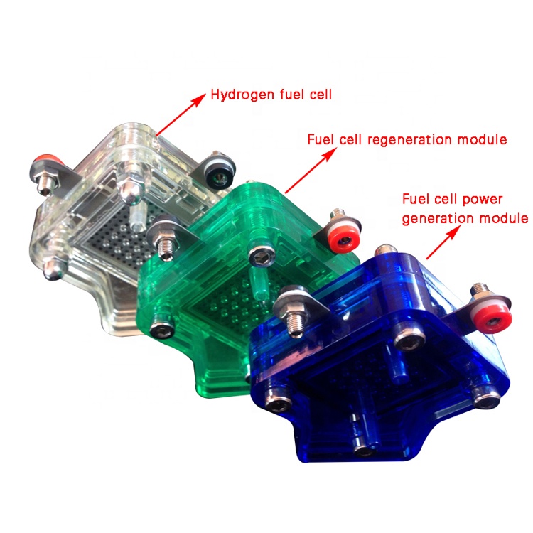 Pem Hydrogen Generator Electrolyzer สำหรับสัตว์แพทย์